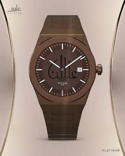 Platinum Watch