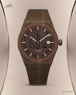 Platinum Watch