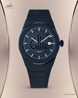Platinum Watch