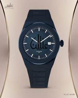 Platinum Watch