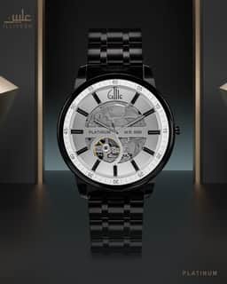 Platinum Watch