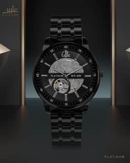 Platinum Watch