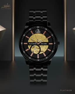 Platinum Watch