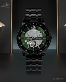 Platinum Watch