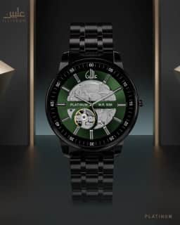 Platinum Watch