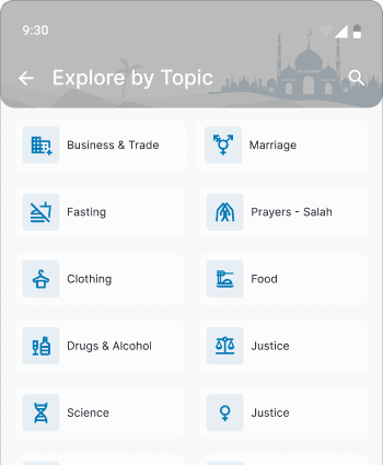 Playback controls preview