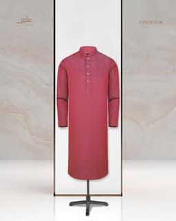 Premium Panjabi