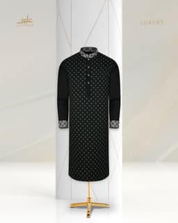 Luxury Panjabi