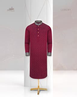 Luxury Panjabi