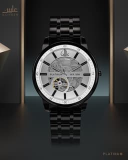 Platinum Watch