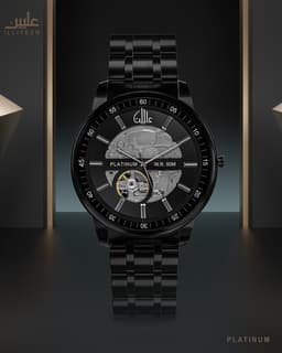 Platinum Watch