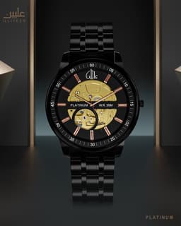 Platinum Watch