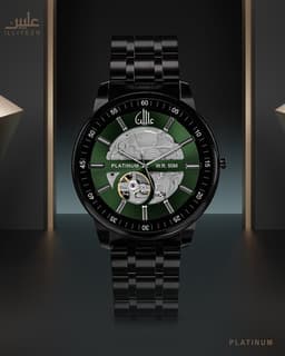 Platinum Watch